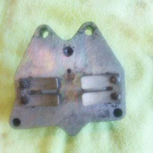 Genuine Evinrude 4HP 2 Stroke Reed Valve Plate Assembly OEM Johnson Outboard